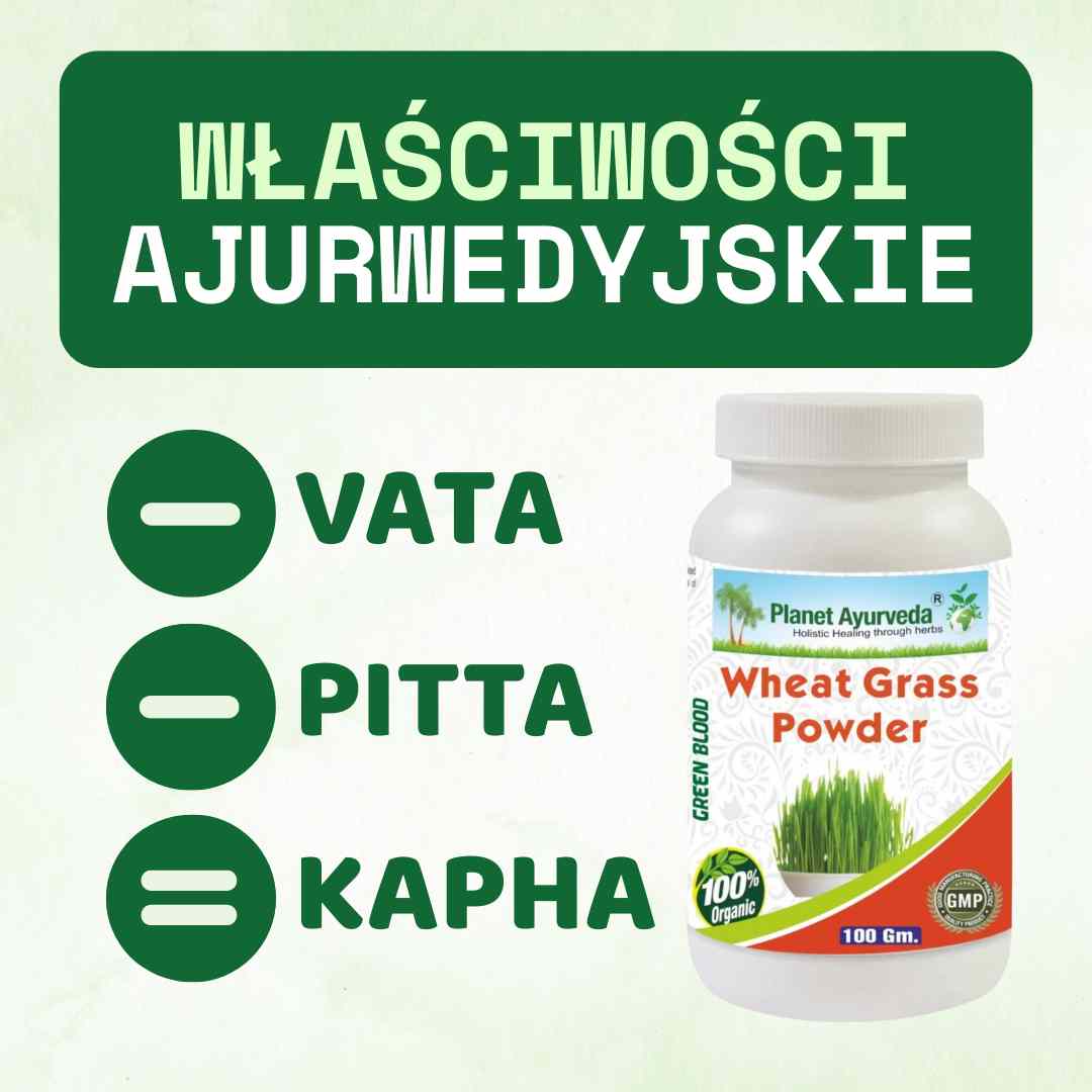 Wheat Grass Powder prah