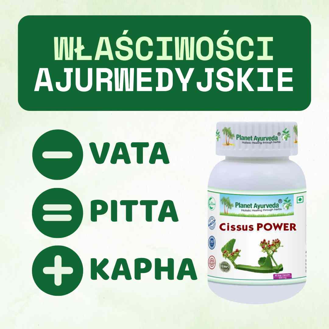 Cissus Power