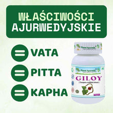 Giloy - Guduchi