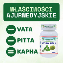 Gotu Kola