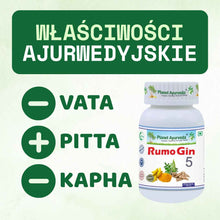 Rumo Gin 5