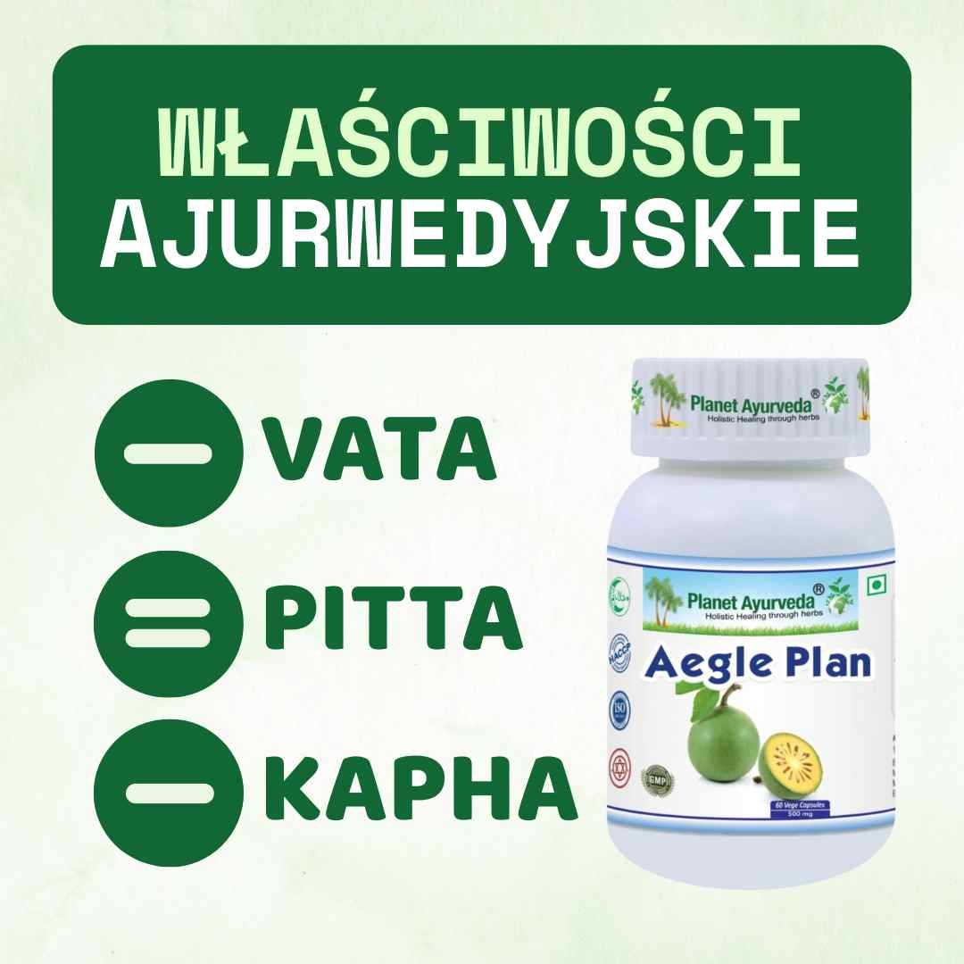 Aegle Plan