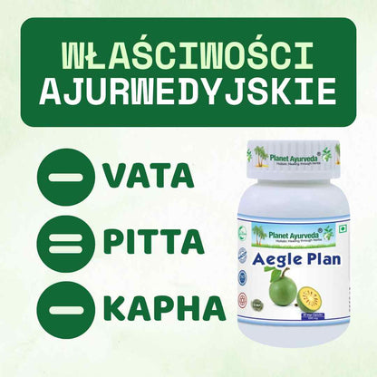 Aegle Plan