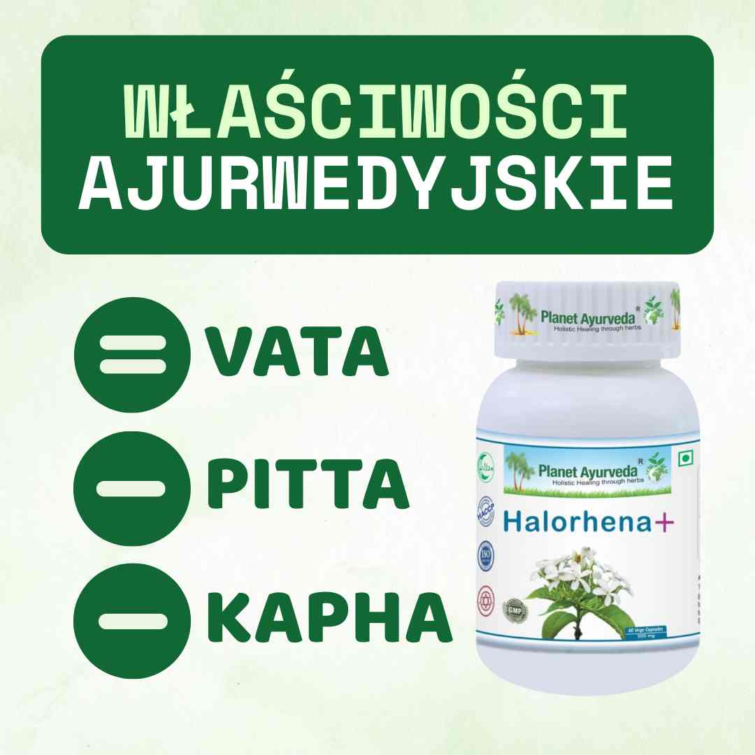 Halorhena+ (Kutaj)