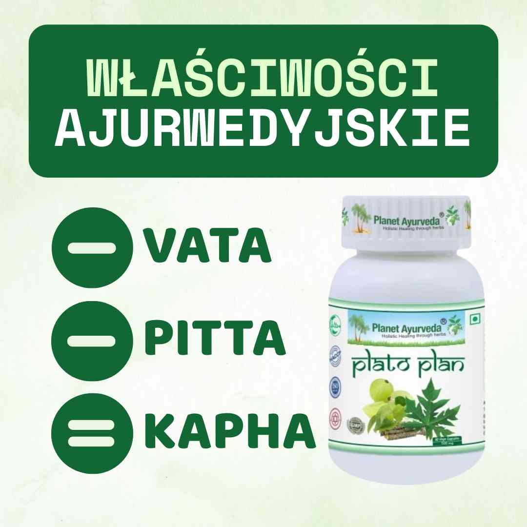 Plato Plan