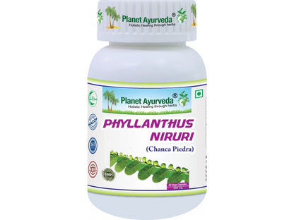 Phyllanthus Niruri – Chanca Piedra